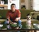 Dog Hump Bud Light Commercial