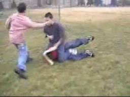 Middle School Fight
